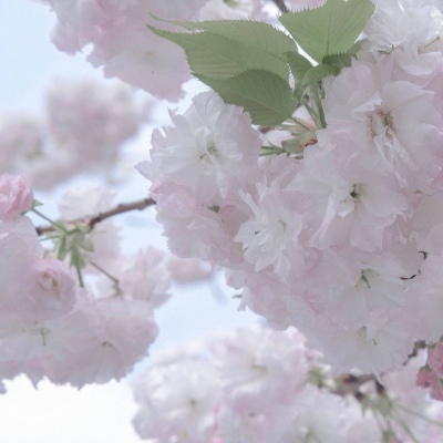 潼南福瑞交流群